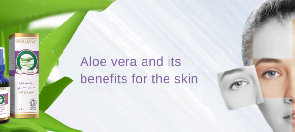 Aloe Vera uses and Its Benefits for the Skin