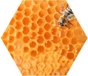 Propolis