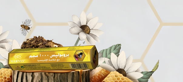 Propolis, why you should start taking it?
