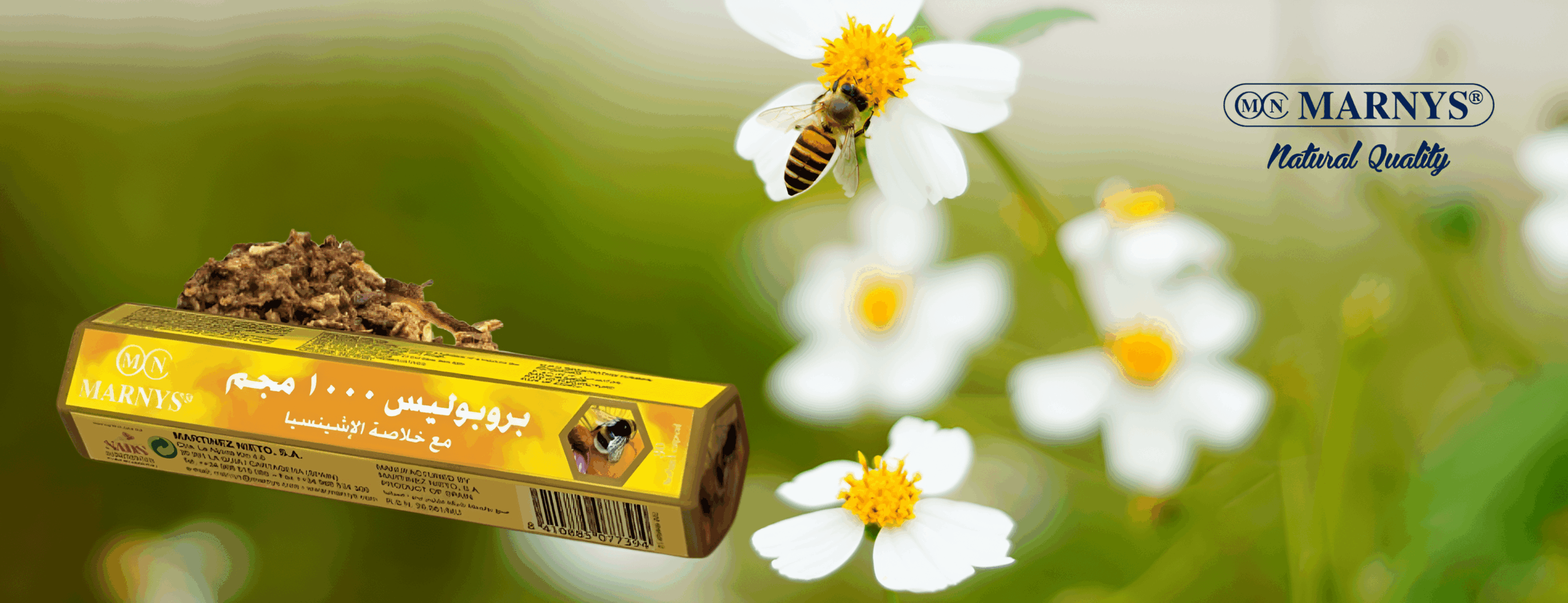 propolis البروبوليس
