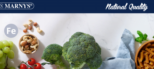 Iron, an essential mineral for our body