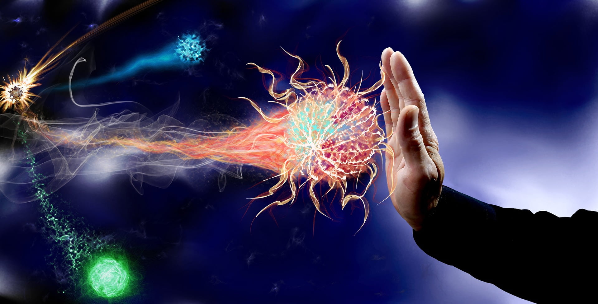 Immune System And Defenses