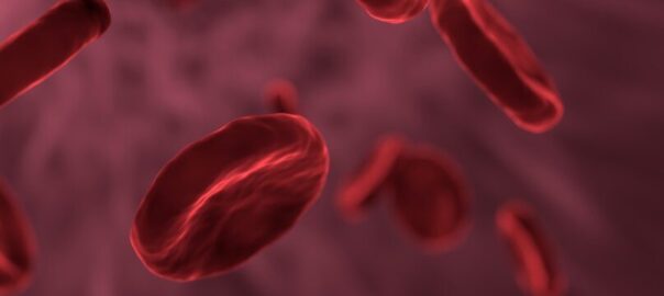 Anemia: What is it and what are its symptoms?