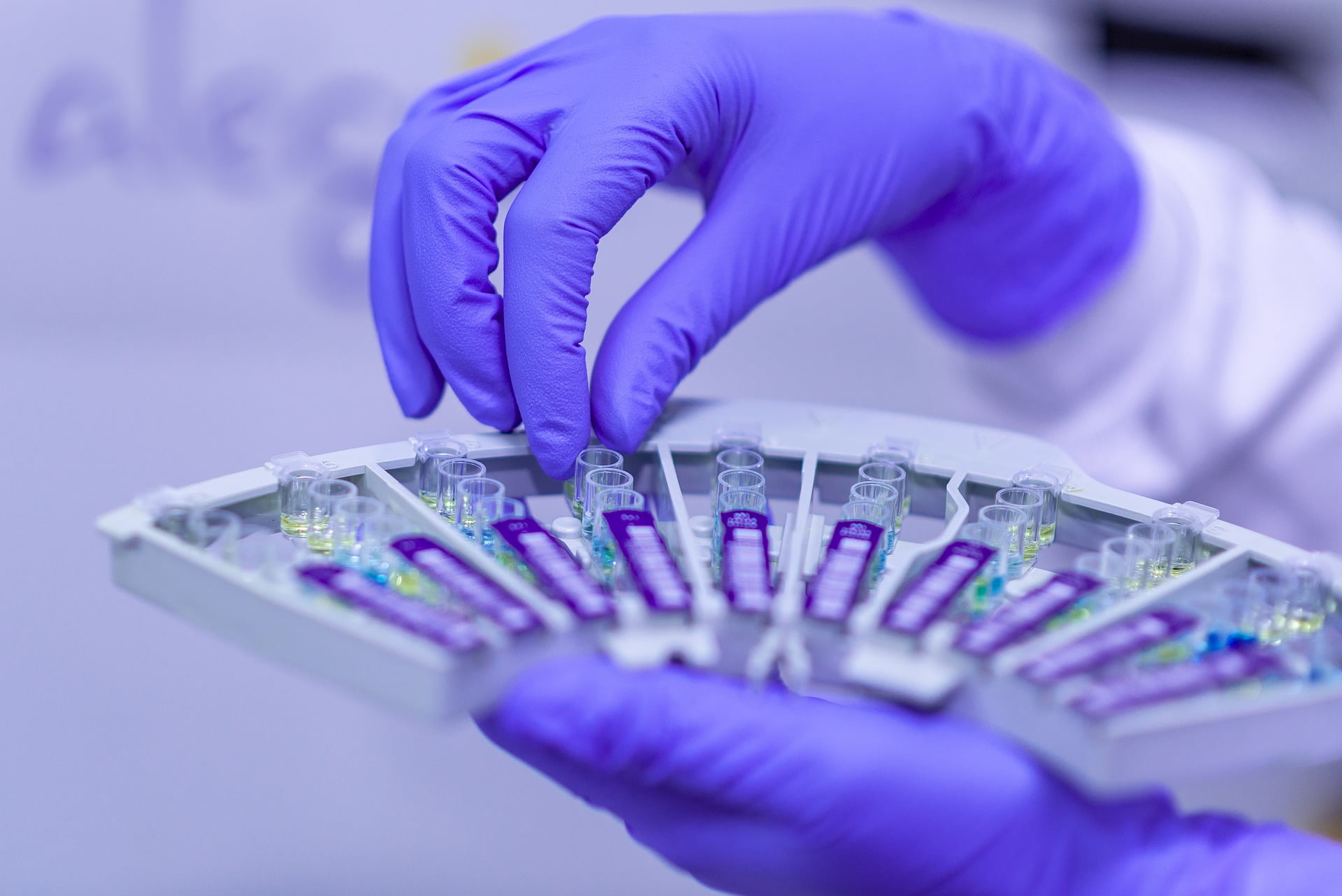 virus الفيروسات