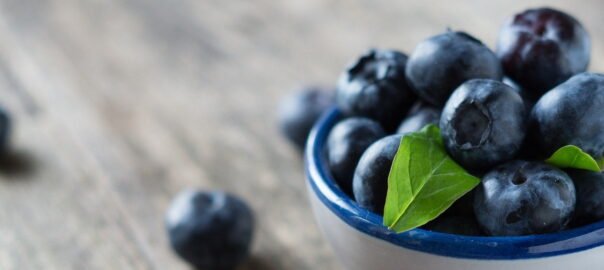 Blueberries and their benefits for your body