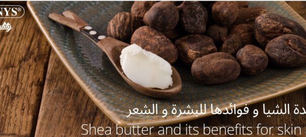 Benefits of Shea Butter for your skin