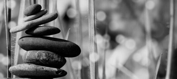 Black cumin: the well-being of the pharaohs