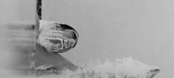 Autoimmunity: The most important things to know