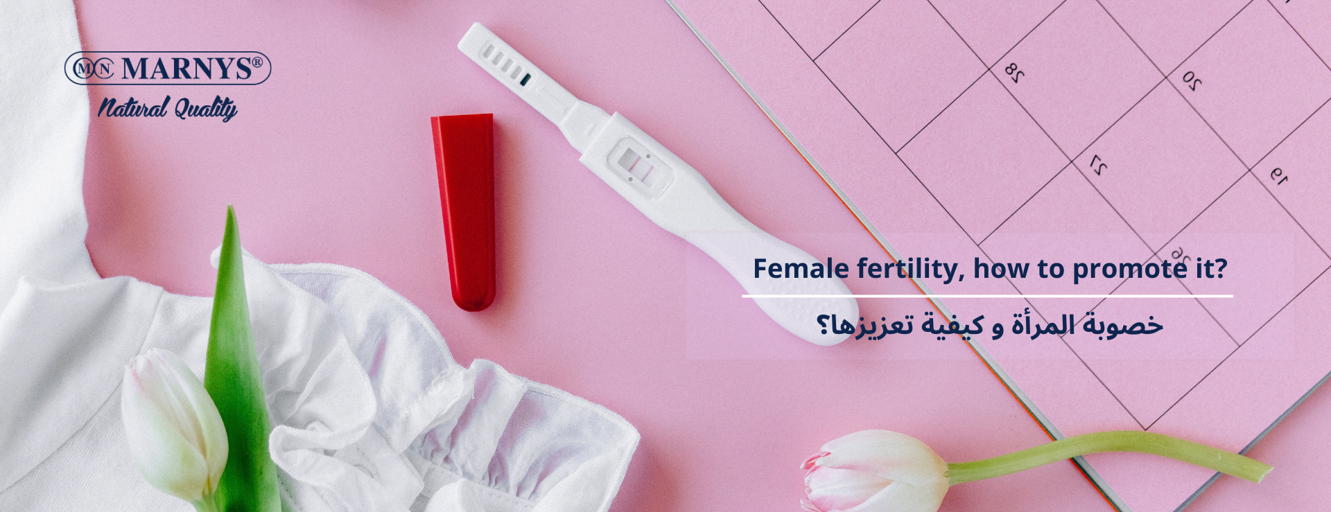 خصوبة المرأة Female fertility