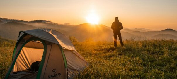 Mosquito Bites: everything you need to know