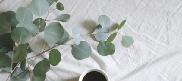 Mood and mental health: How to achieve balance?