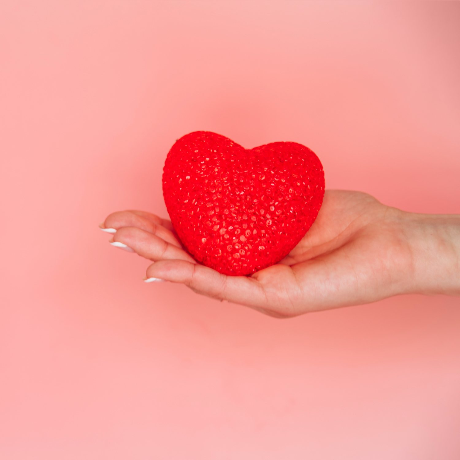 القلب cardiovascular